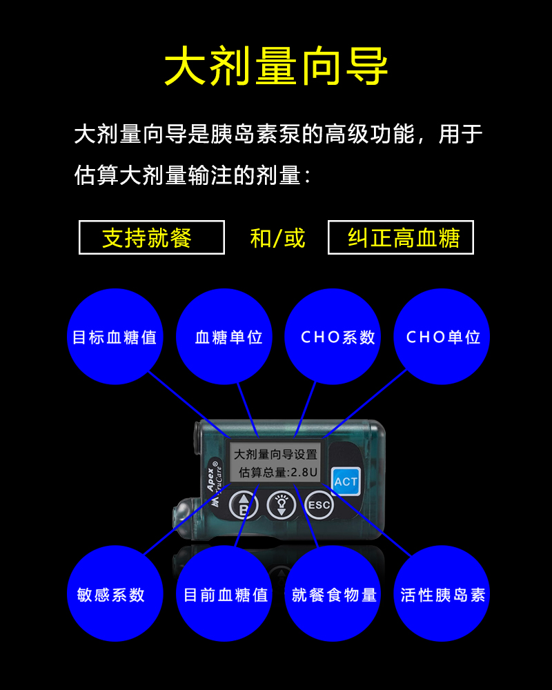 胰岛素泵大剂量向导计算器功能